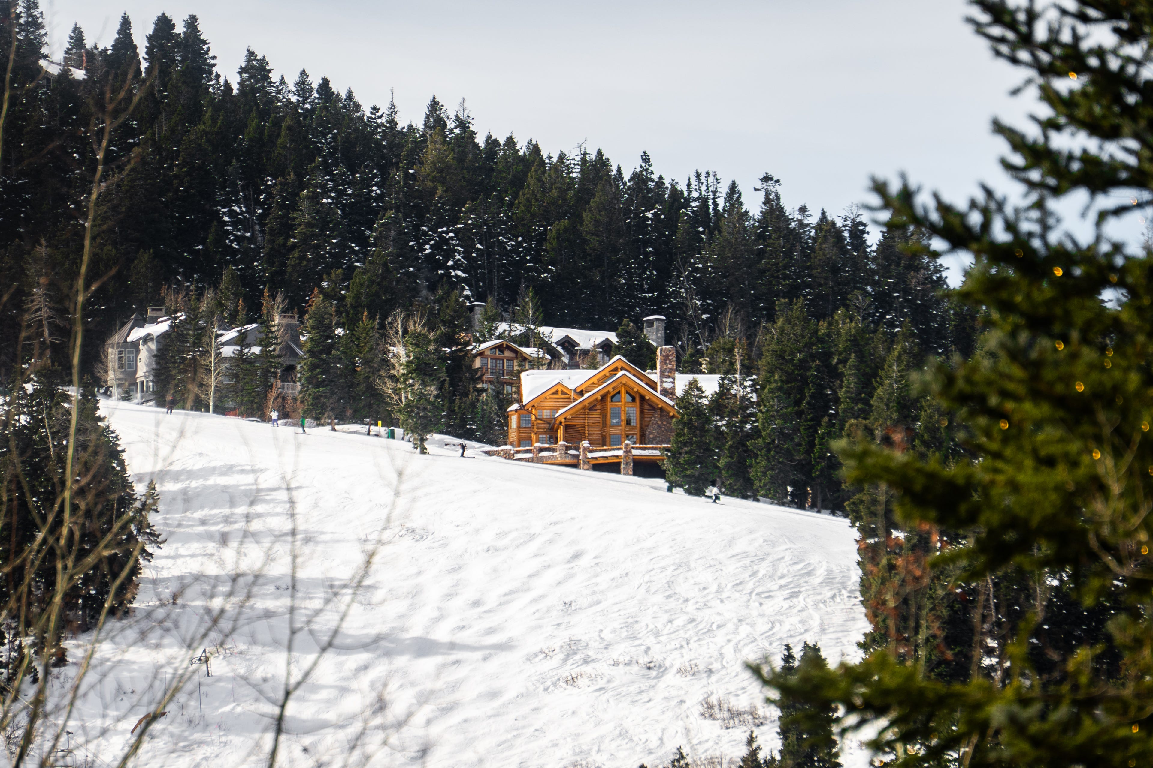 Luxury homes on a ski slope with trees surrpounding the path