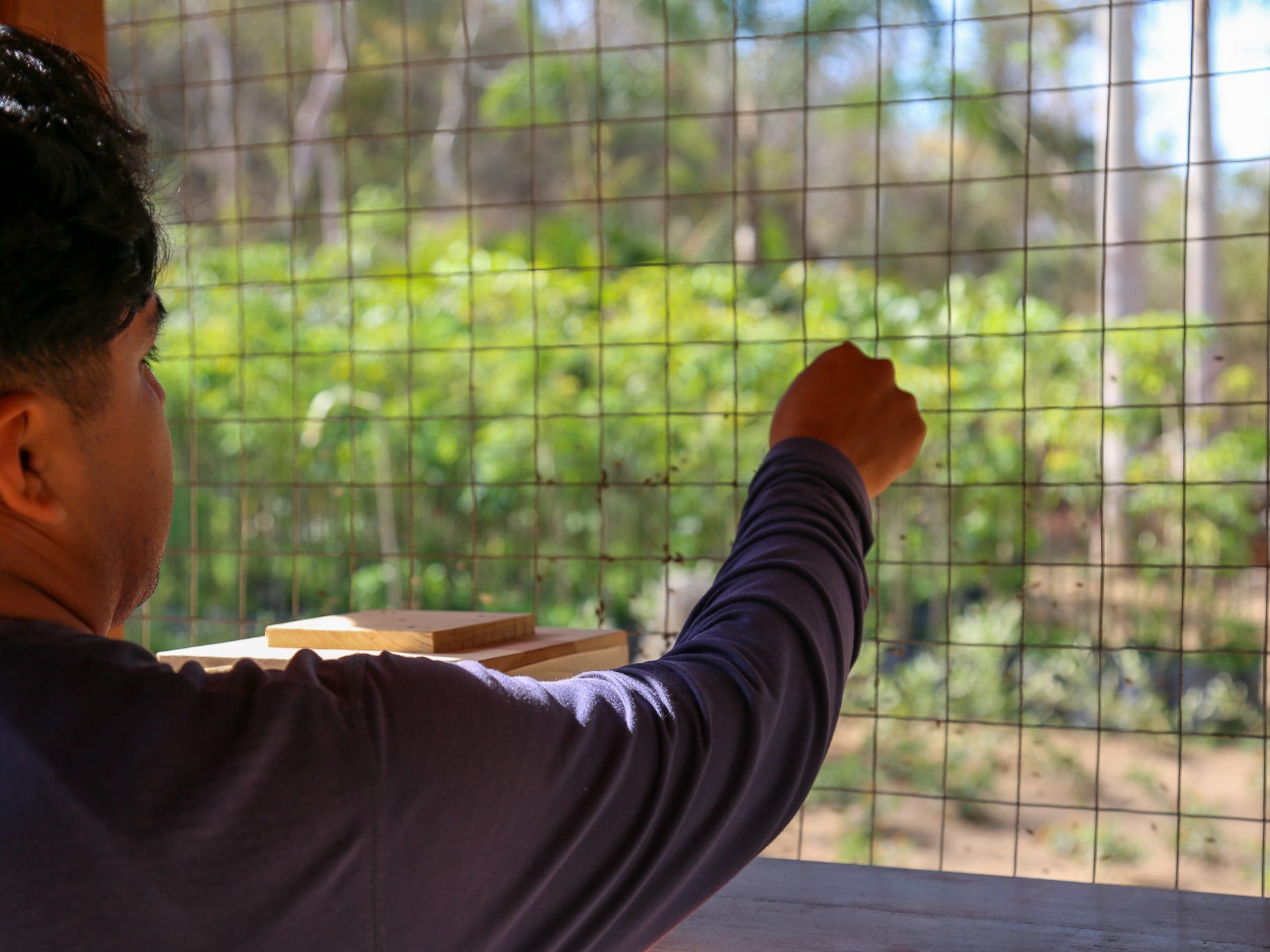 Alan Reyes points to bees at the resort's farm.