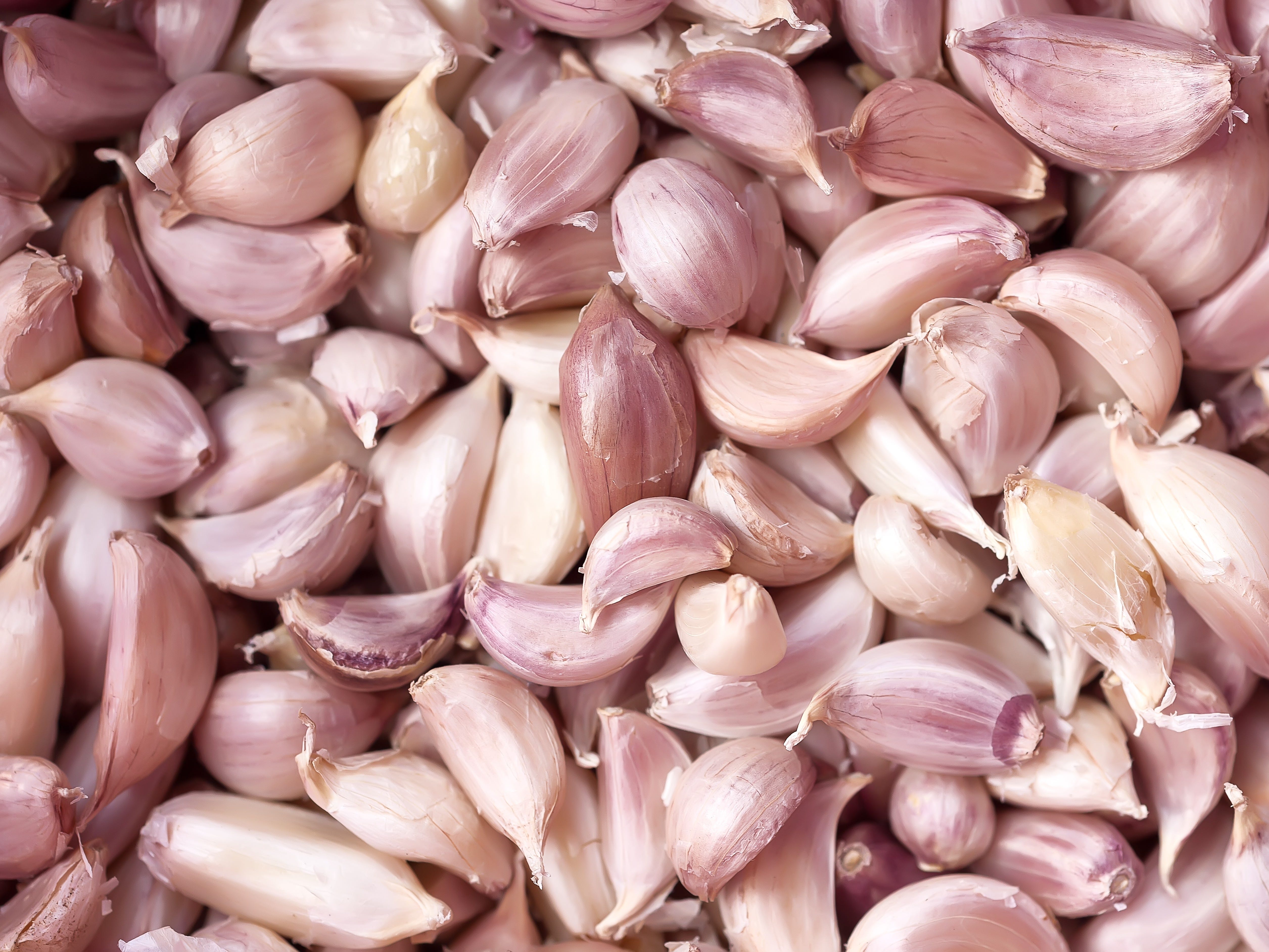 cloves of garlic