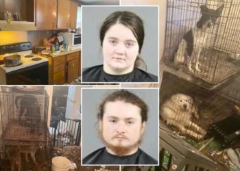 Couple jailed after baby found living in ‘absolutely disgusting’ home with rotting goat carcass, dozens of animals