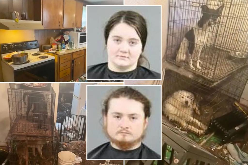 Couple jailed after baby found living in ‘absolutely disgusting’ home with rotting goat carcass, dozens of animals