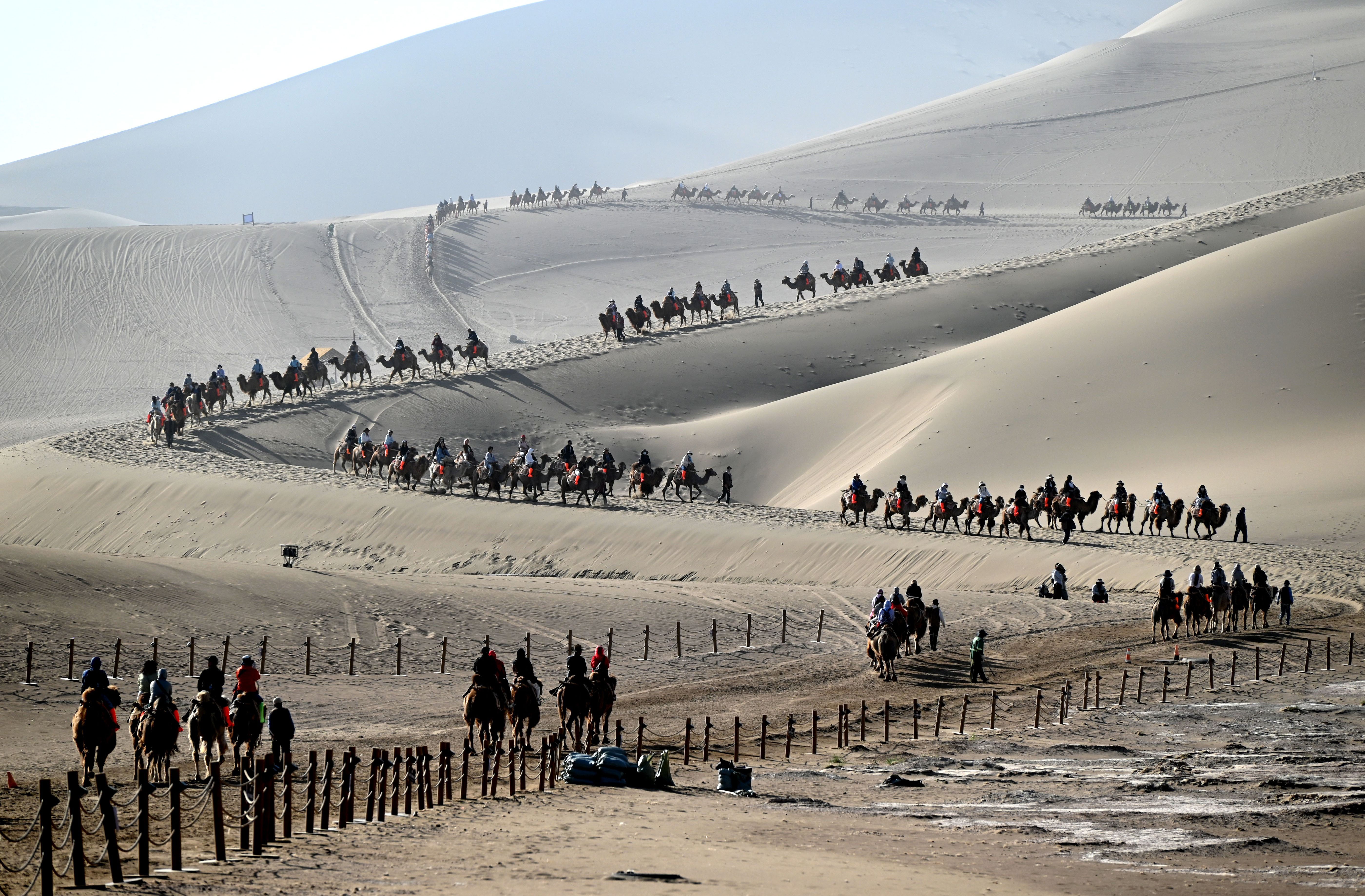 Dozens of tourists ride camels on a path through sand dunes.