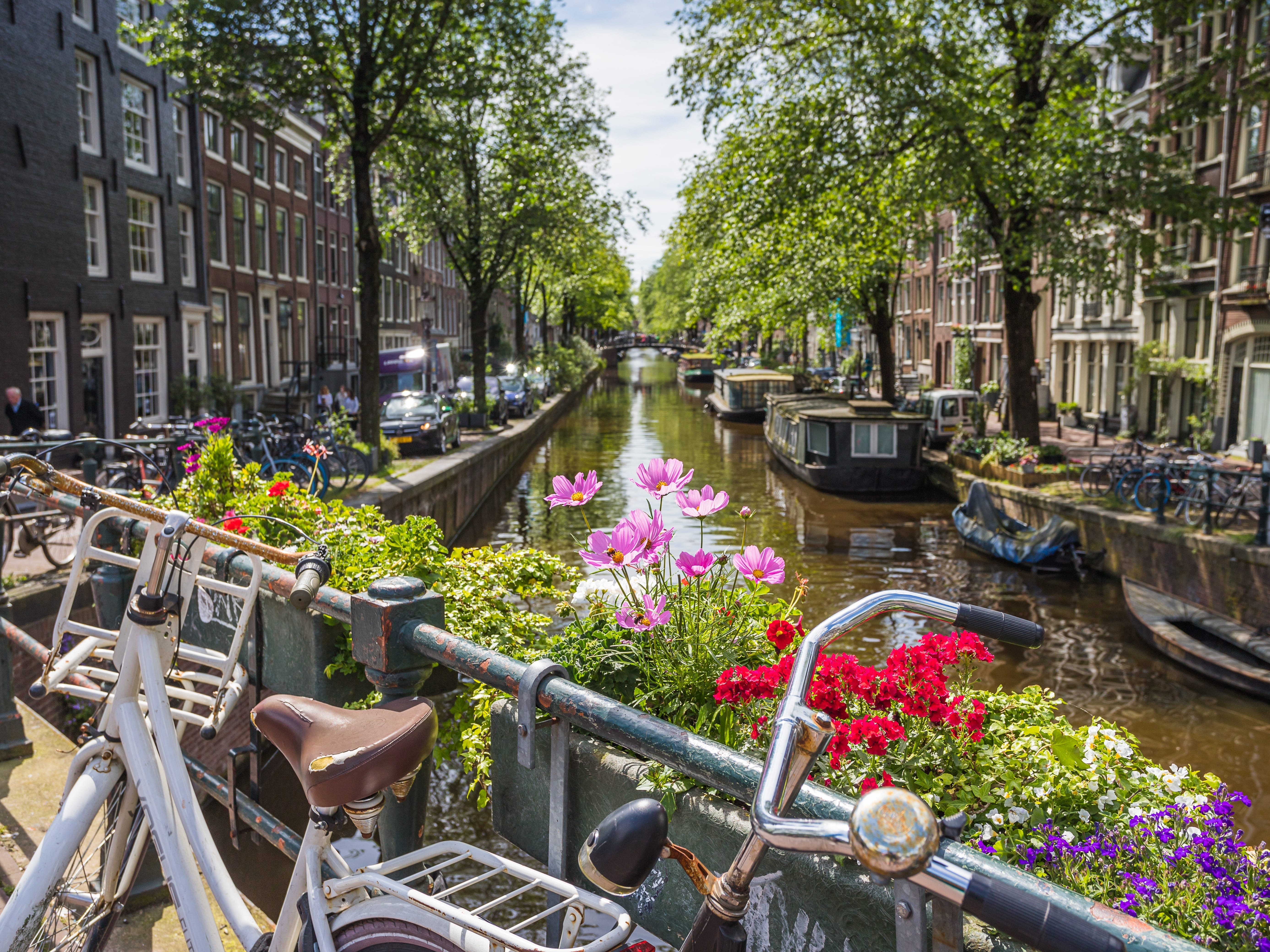 The Bloemgracht Canal in the Jordaan district of Amsterdam. Flowers and parked bikes are in the frame.