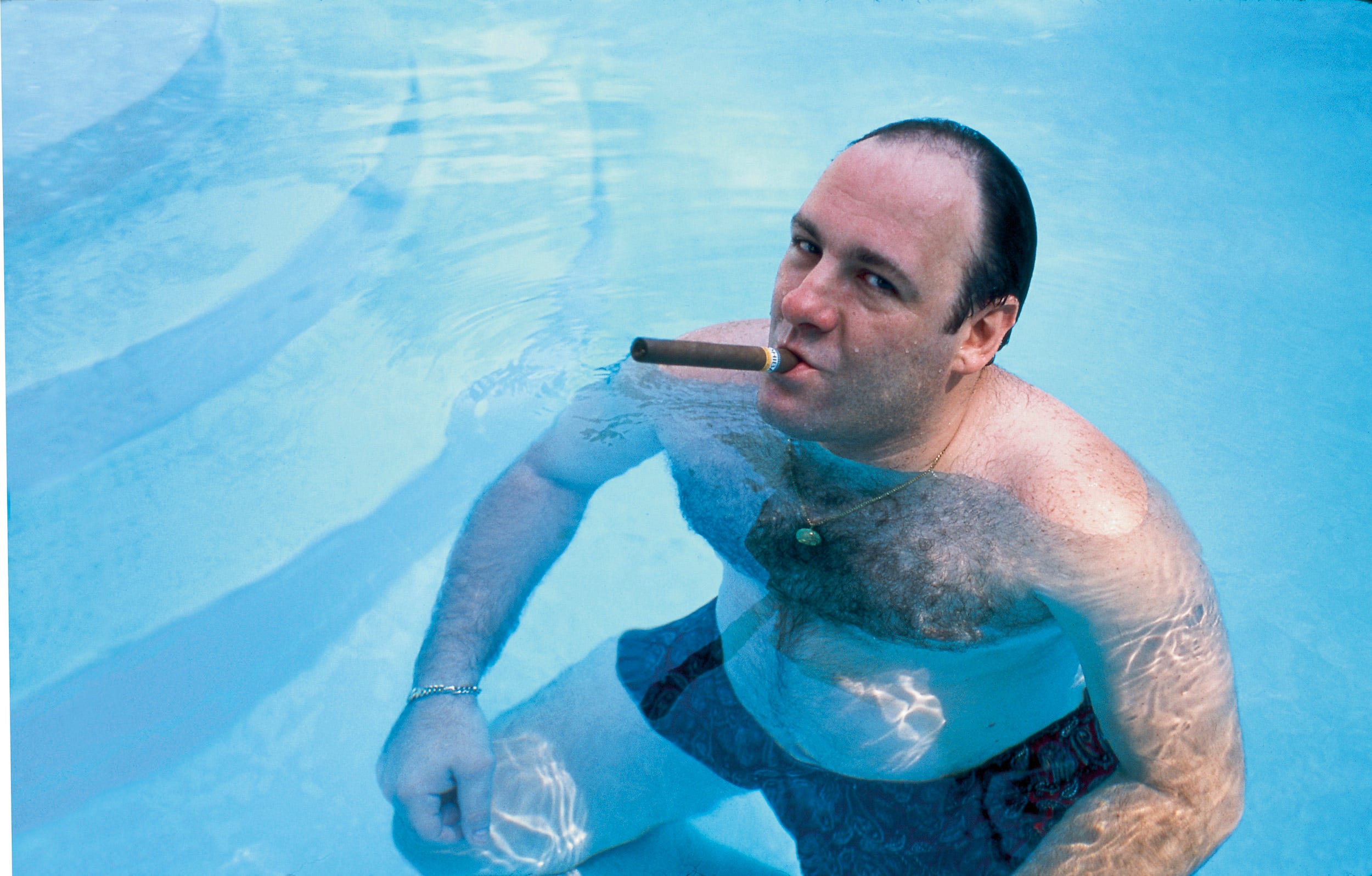 The Sopranos Tony Soprano pool