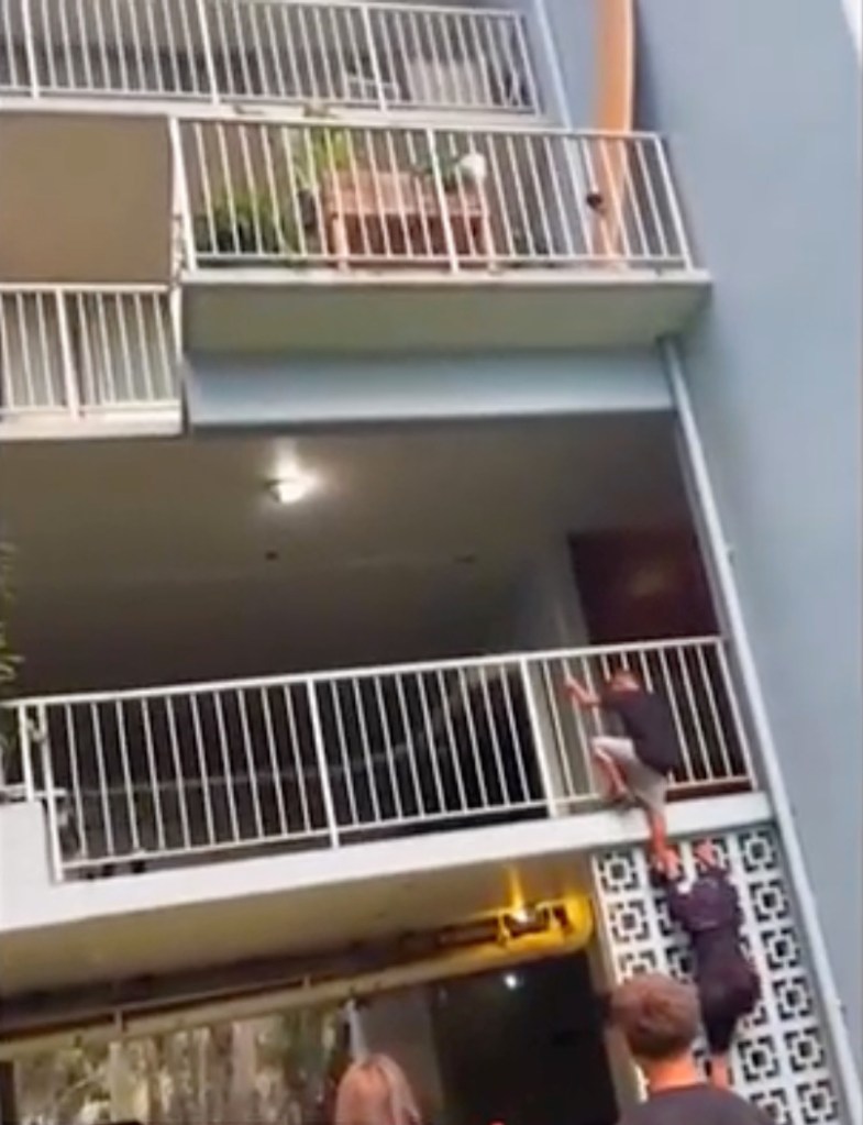The community hunted down the bullies and livestreamed their search.