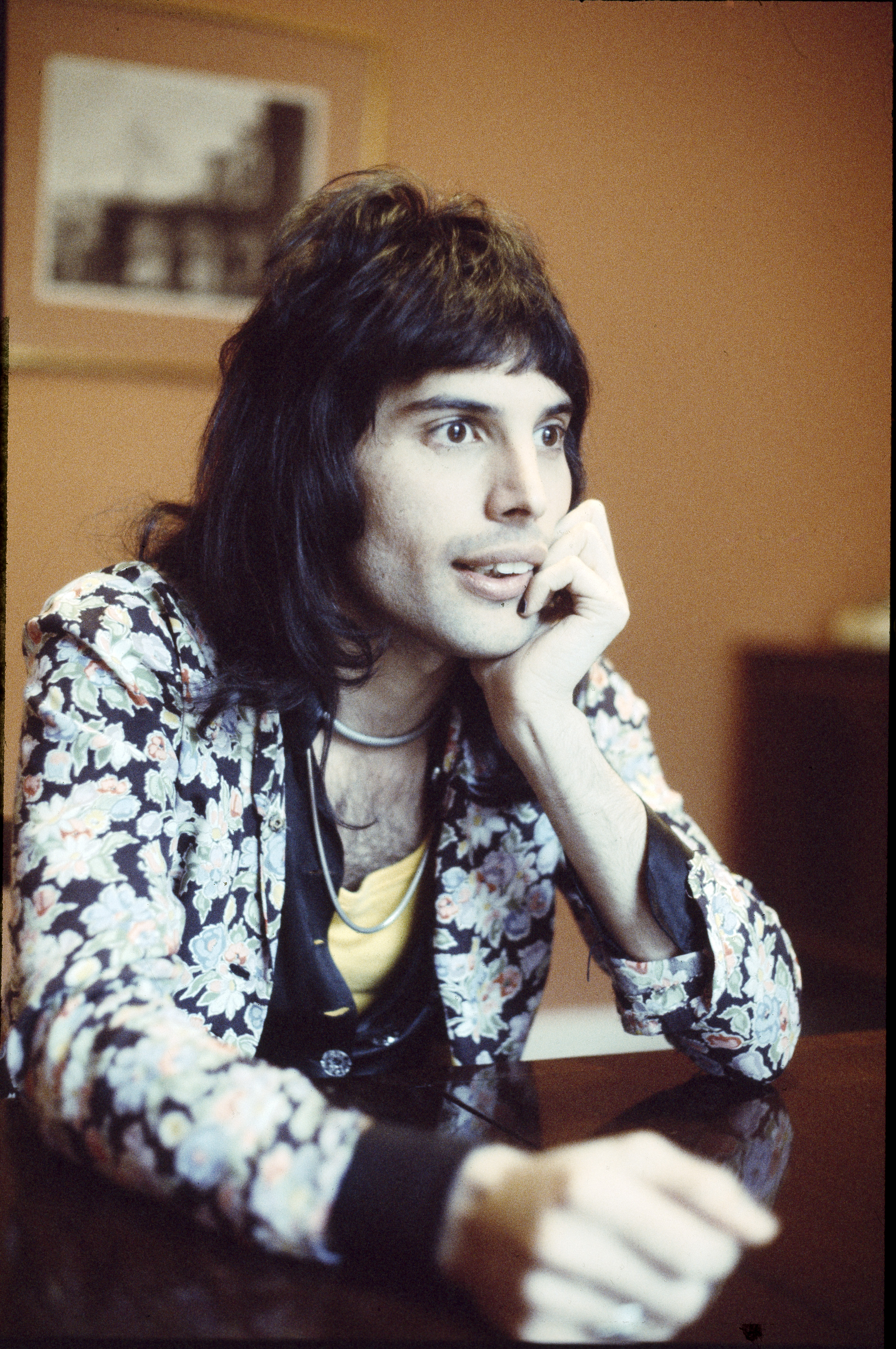 Freddie Mercury leans his chin on his hand. 