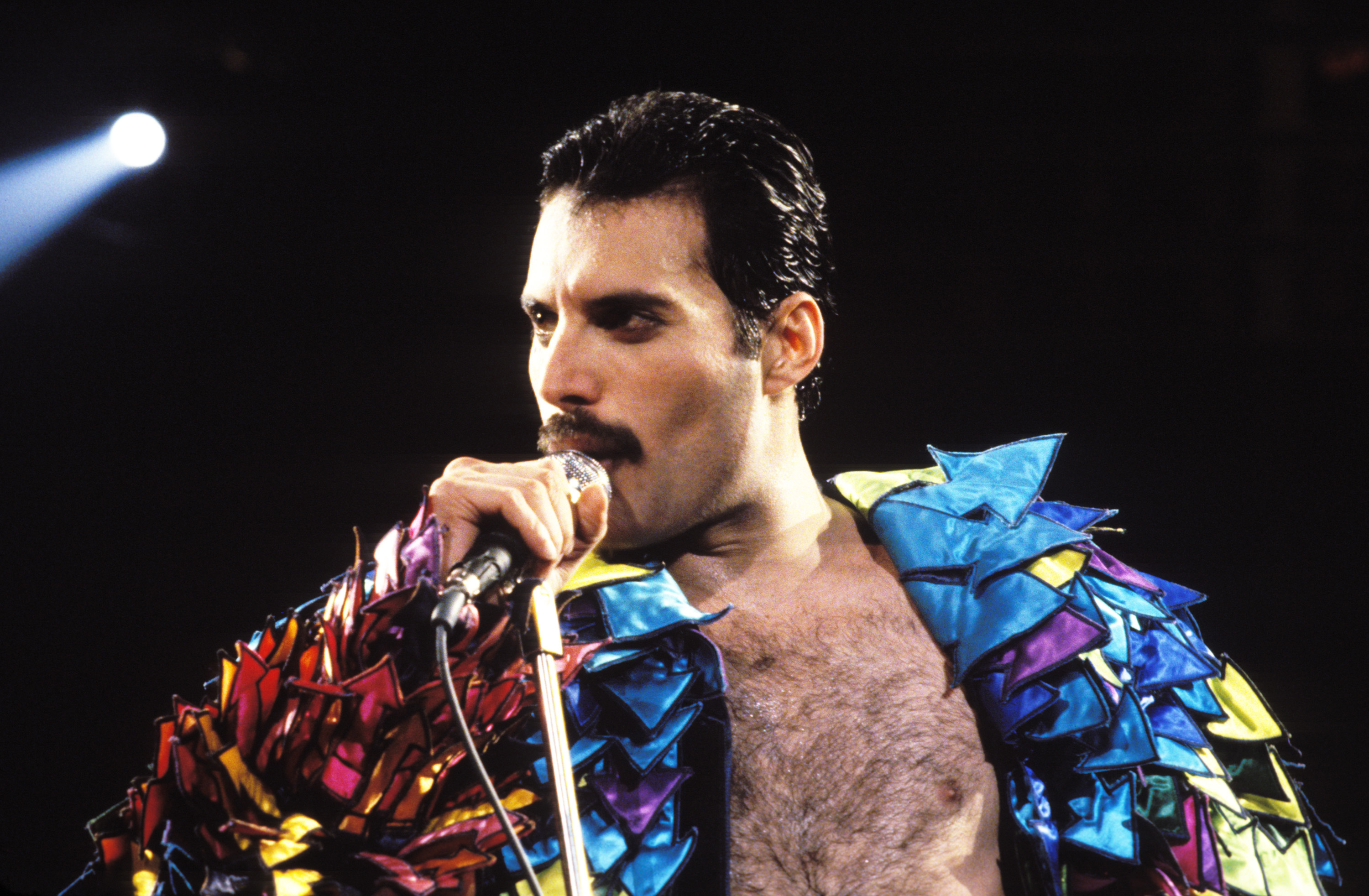 Freddie Mercury sings onstage. 