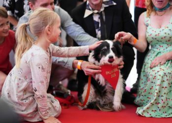 Palm Dog: ‘The Love That Remains’, ‘Sirât’, ‘Pillion’ And ‘Amores Perros’ Honored – Cannes Film Festival