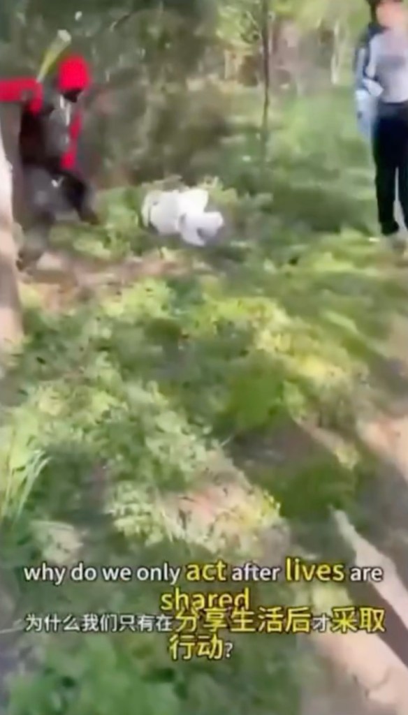Screenshot from social media video showing attack on two girls in Queens park; teen seen swining bat at victim with bystander watching