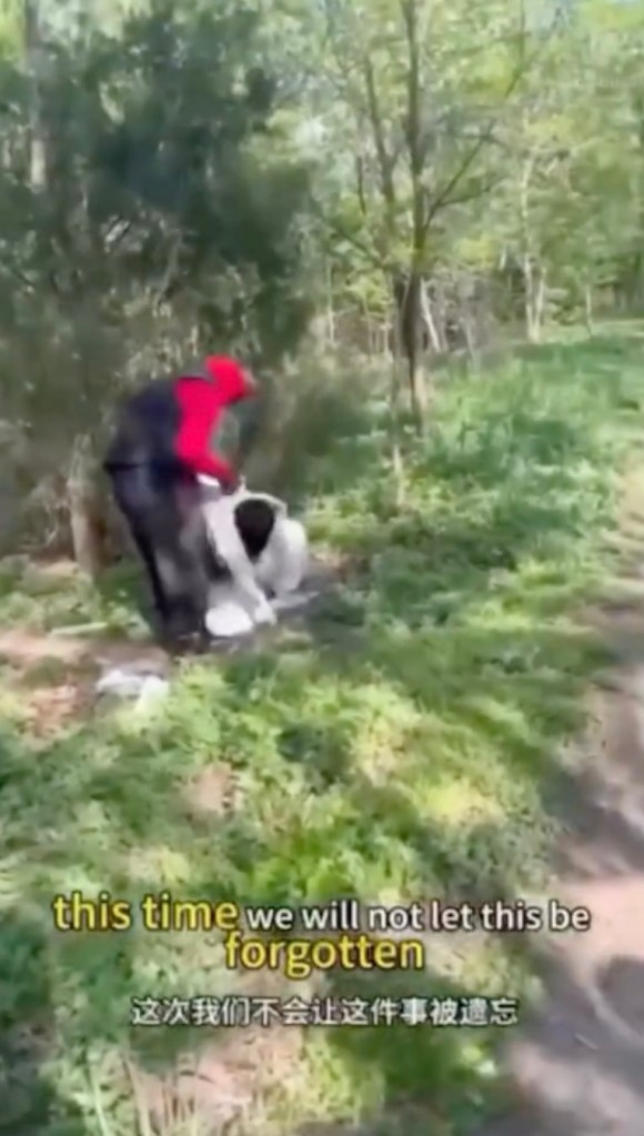 Screenshot from social media showing brutal attack on two young girls in Kissena Park. 