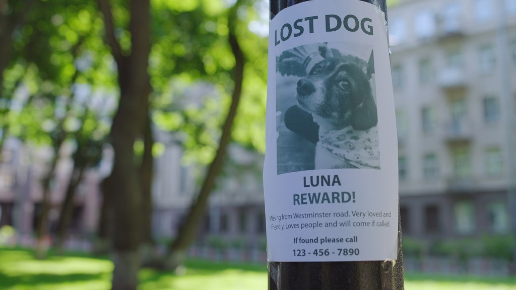 A photo of a tree with a missing dog poster. which reads lost dog luna reward