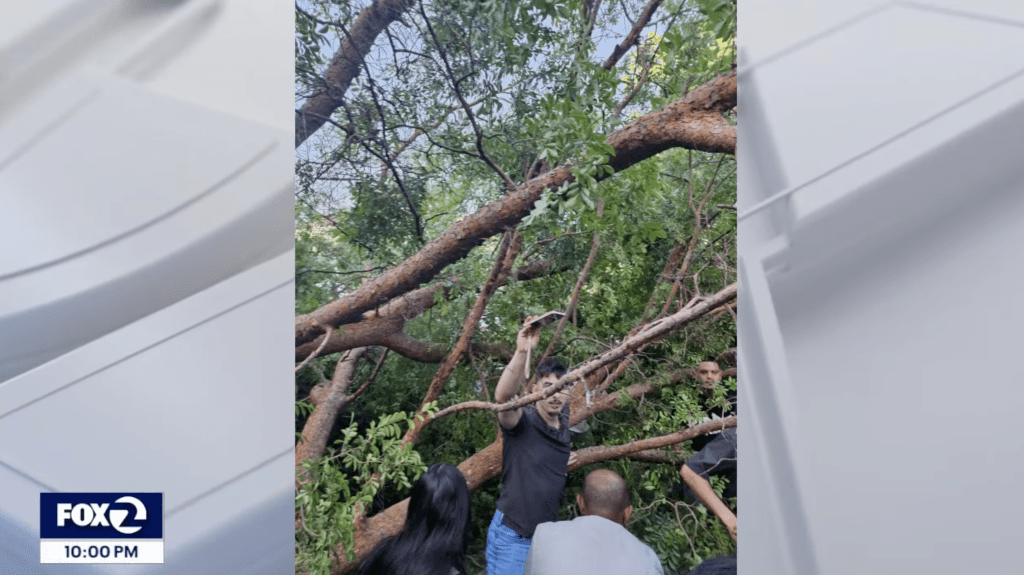 Three people went to the hospital to be treated for their injuries.