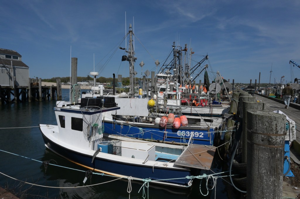 Montauk Vs The Hamptons Welcome to Montauk sigh as you enter on Montauk Hwky. .May 12th, 2025.