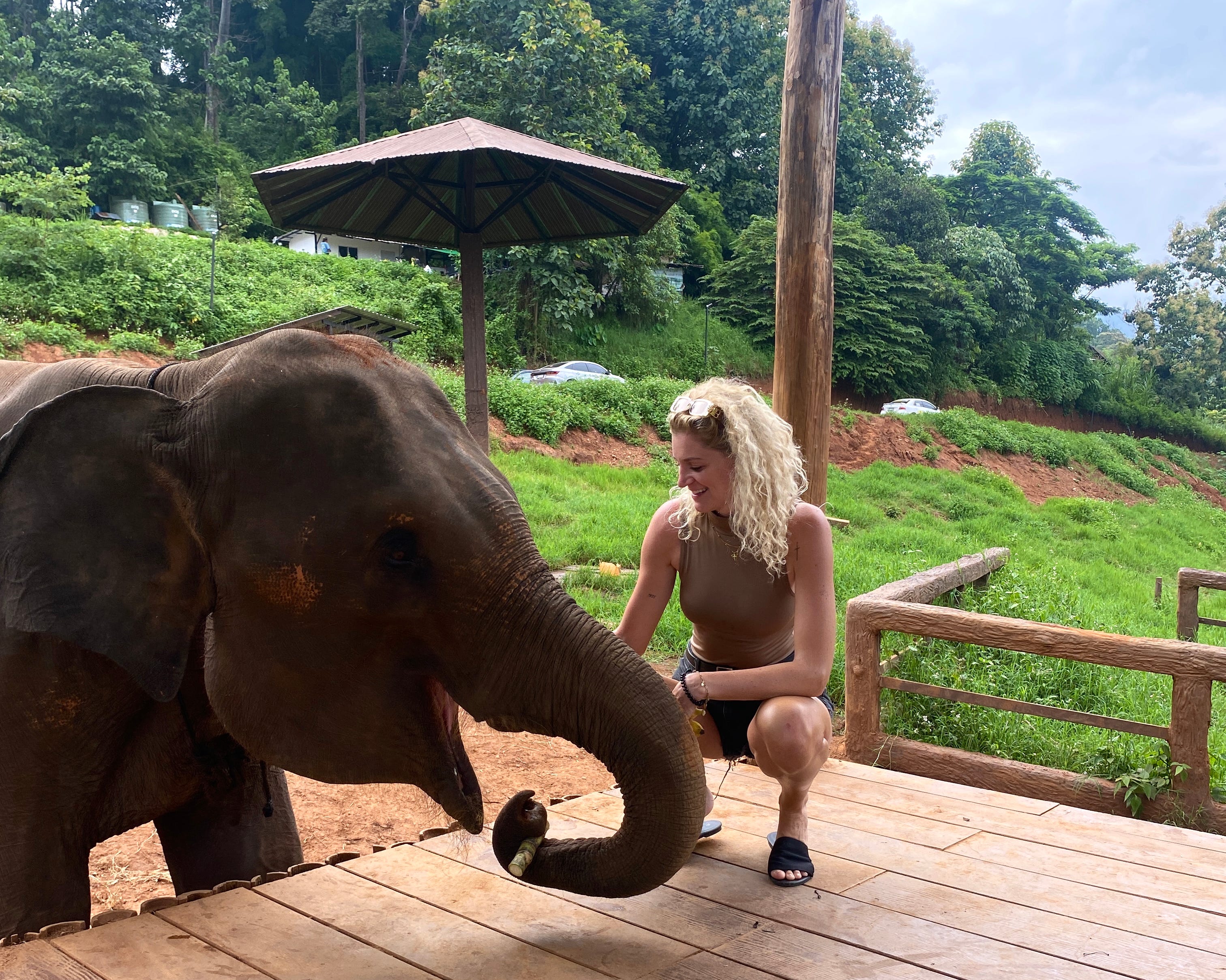 A woman patting an elephant in an elephant sanctuary in Chiang Mai, Thailand.