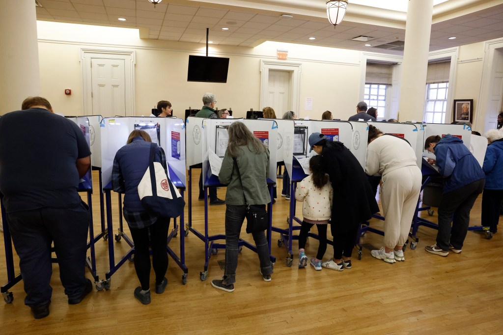 Early voting at Brooklyn Borough Hall with people holding Project 2025 and Working Families Party signs and Avi Lewis present
