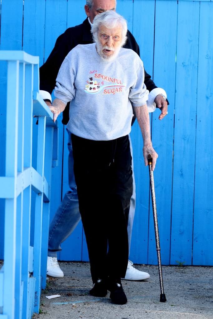 Dick Van Dyke