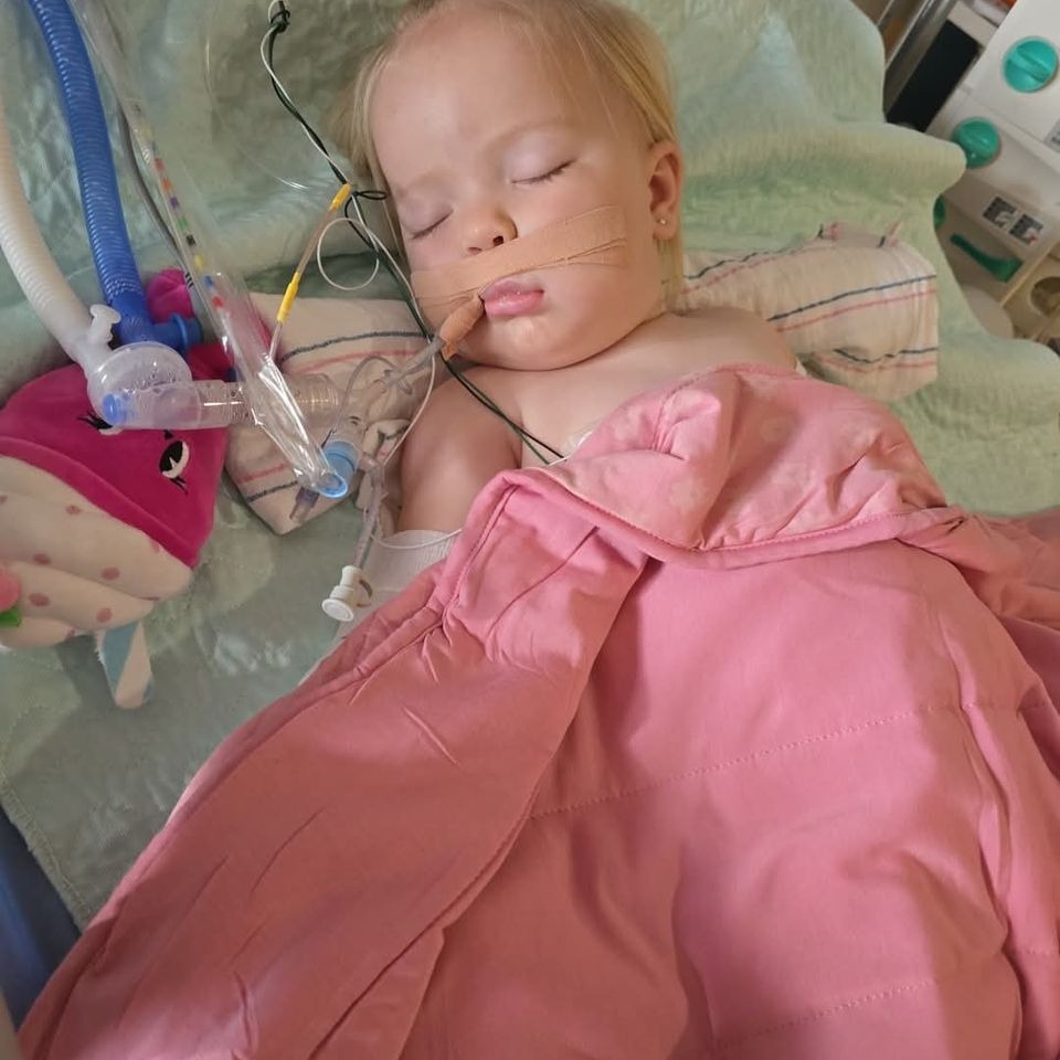 Arizona toddler Cara Reed  recovering after two rattlesnake bites