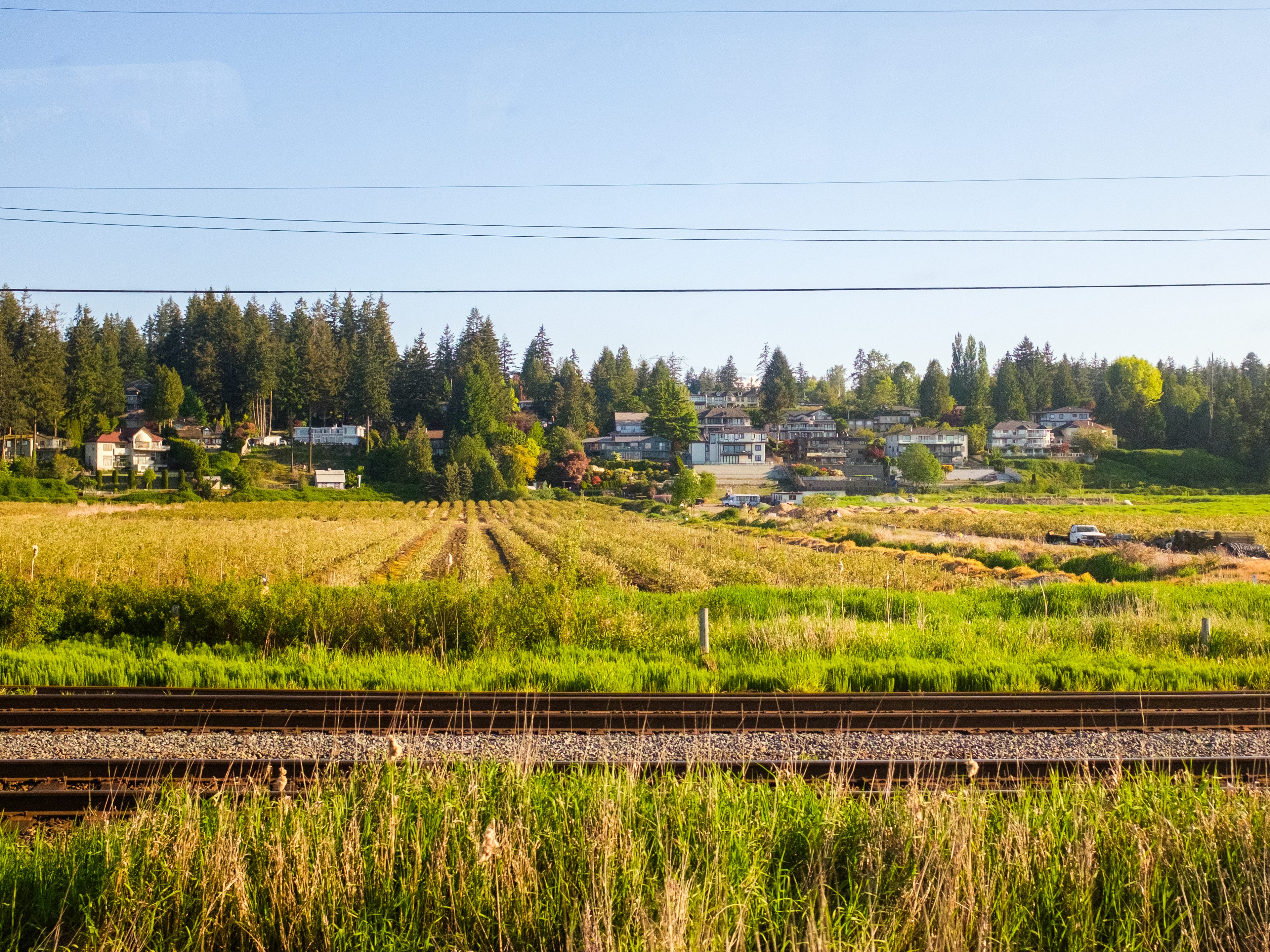 Train tracks in front of a field of crops and trees and houses in the background