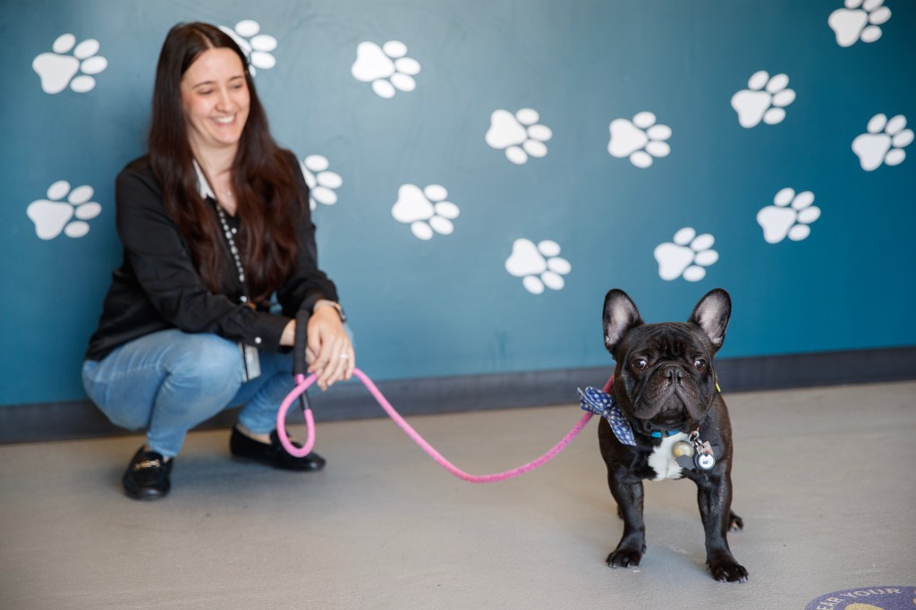 Kiera Mejia of ARK at JFK walking a pup in the lobby, facility in background where various domestic and international animals are cared for.