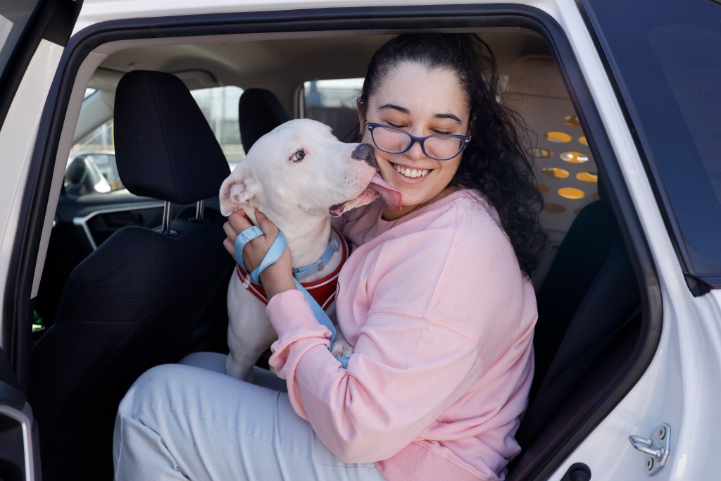 An owner is reunited her with her pup after he arrived from the Dominican Republic and had to clear customs and health inspections.