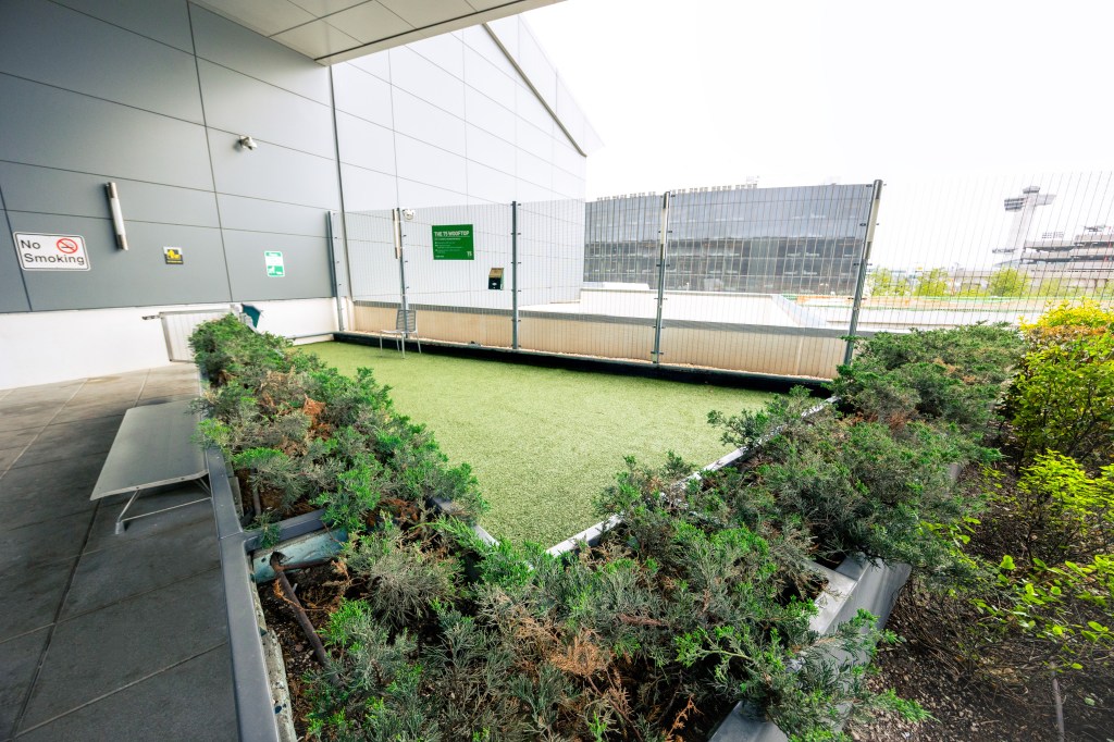 The T5 Rooftop & Wooftop Lounge is located across from Gate 528.