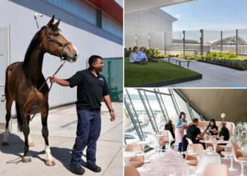 NYC’s most-hated airport isn’t as awful as you think — these secret spots at JFK are a total trip