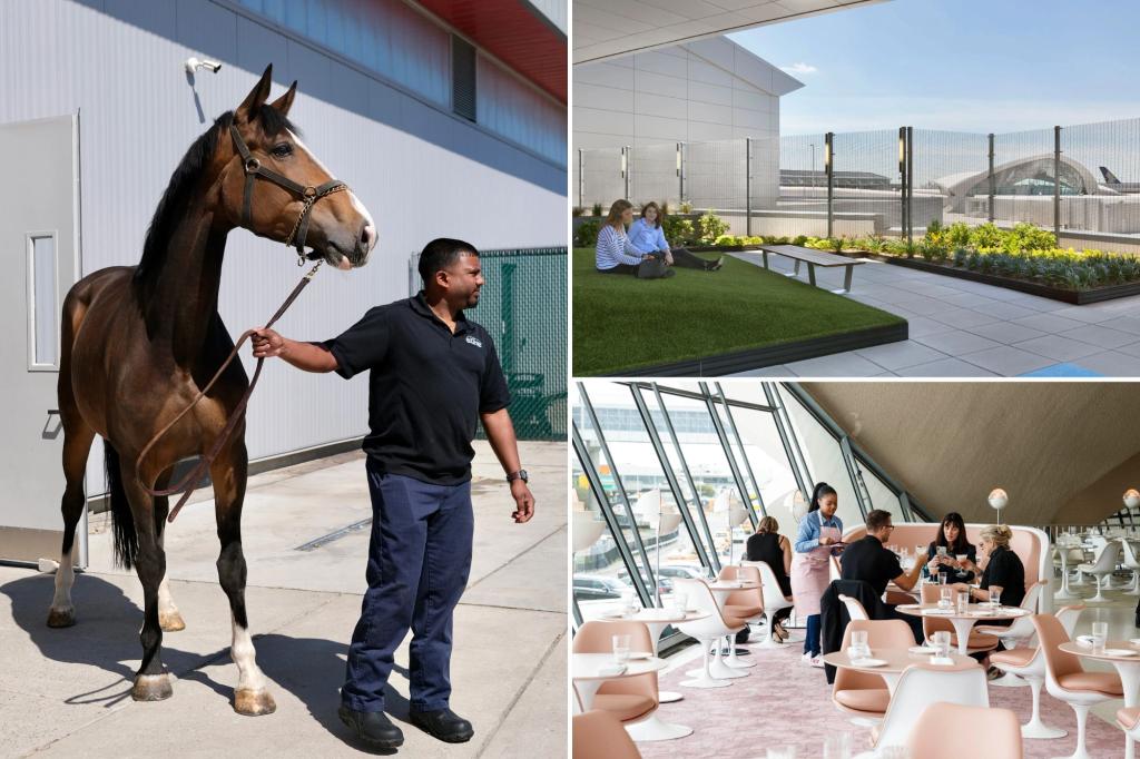 NYC’s most-hated airport isn’t as awful as you think — these secret spots at JFK are a total trip