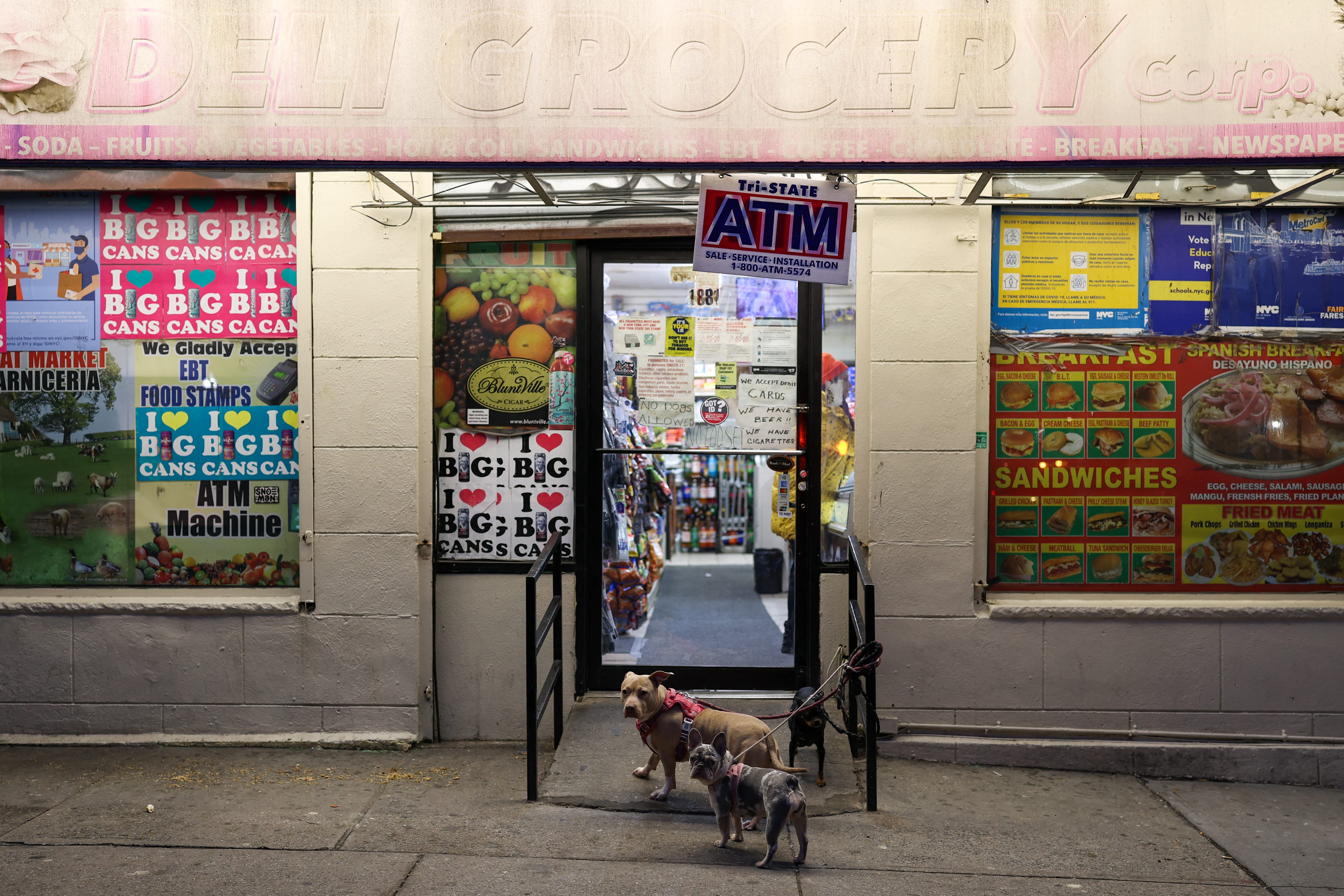 A bodega in NYC with two dogs out front