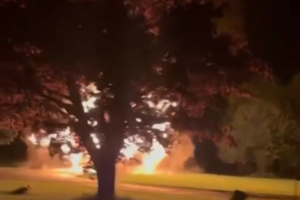 Three teens coming home from prom alerted a family that fire was about to spread to their home. 