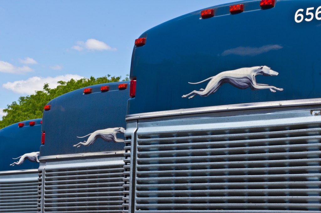 Greyhound buses stationed in Indianapolis, offering inter-city service to over 2,700 destinations