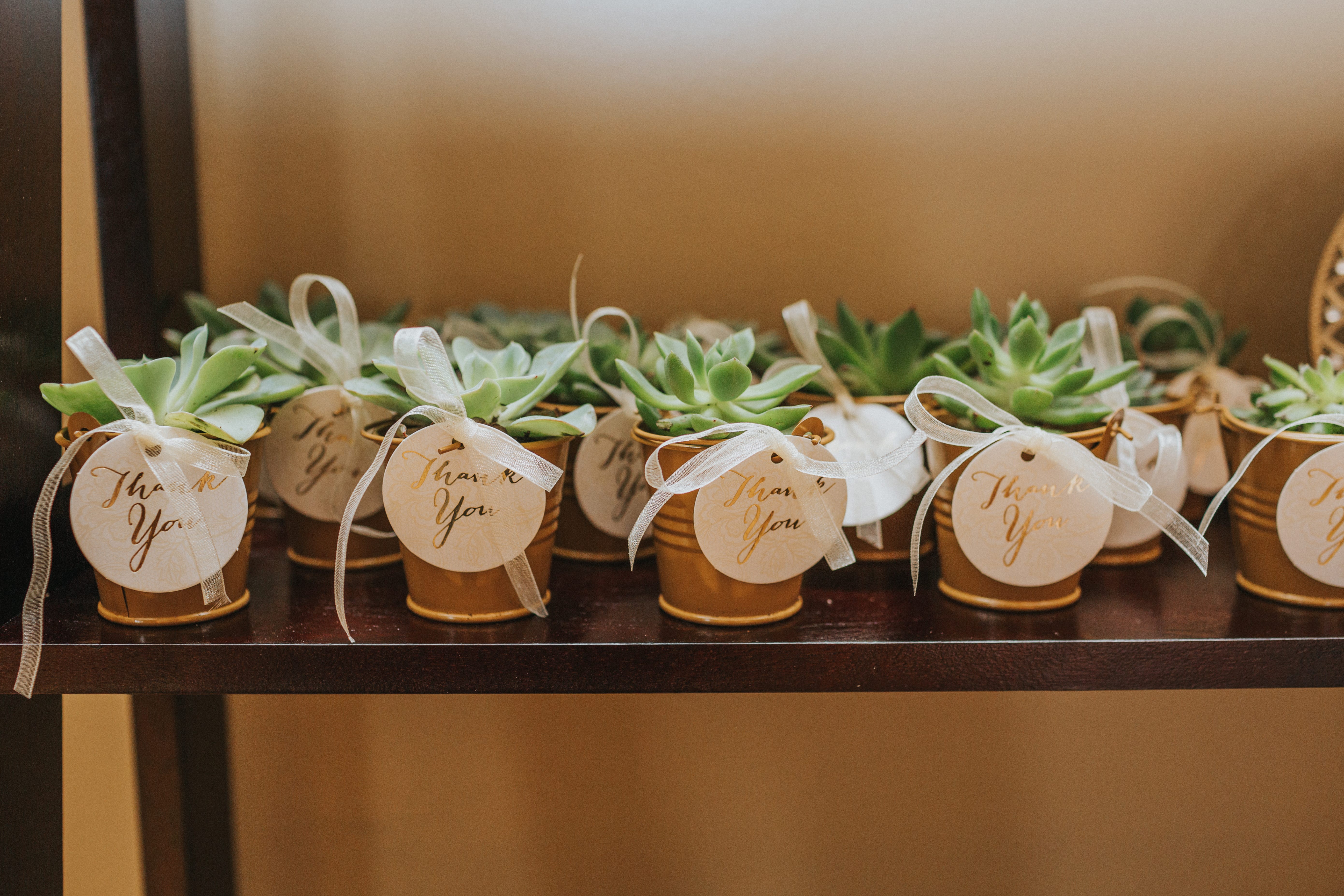 wedding favors - small cactuses in jars with thank you notes on them
