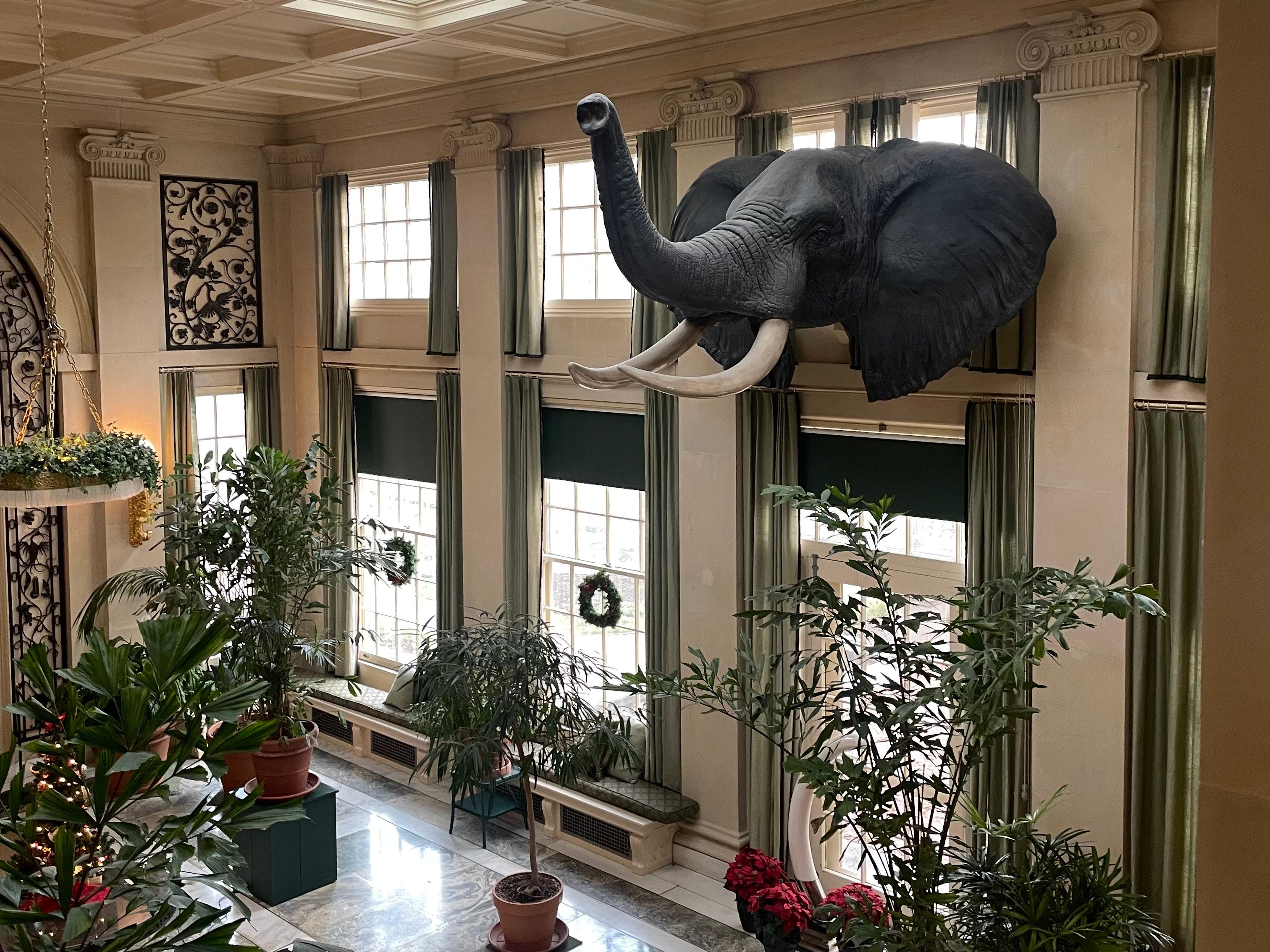 The interior of George Eastman House, complete with an elephant bust on the wall, large windows, and lots of greenery.