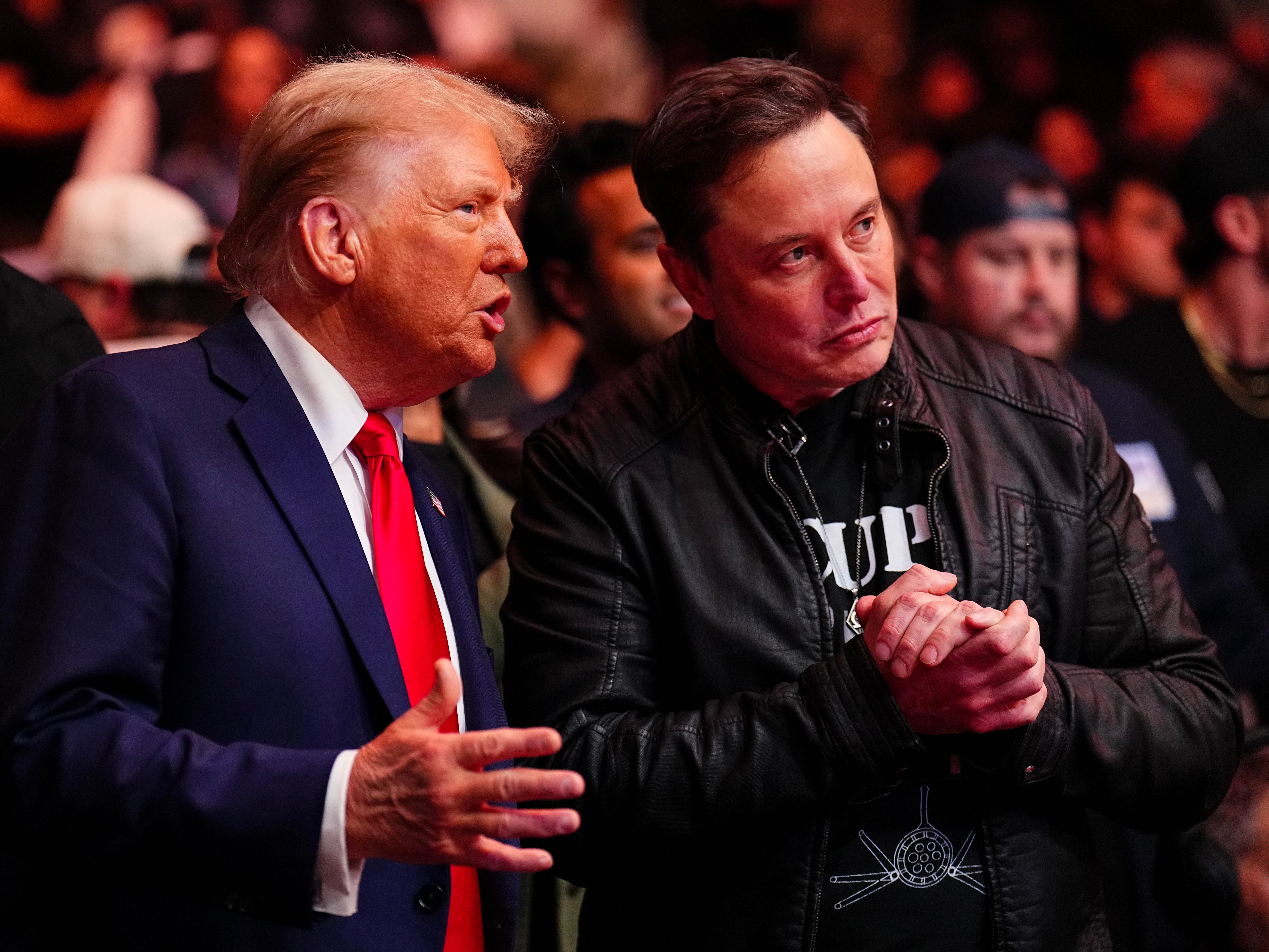 Donald Trump and Elon Musk at a UFC fight in New York City
