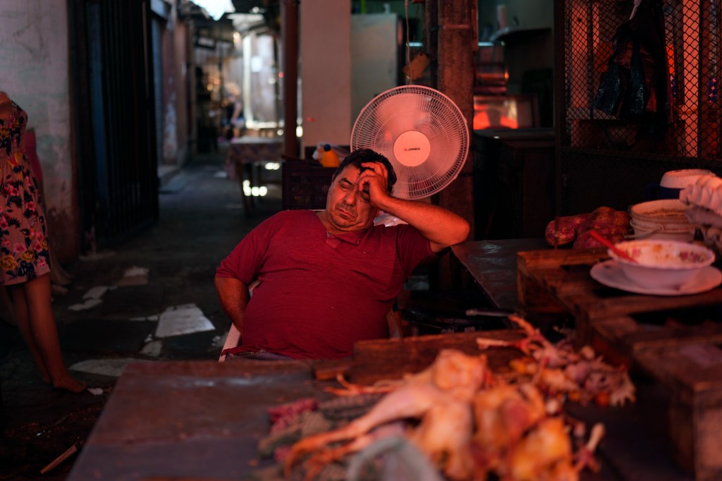A vendor sleeps near a fan on a hot afternoon at his shop at Market 4 in Asuncion, Paraguay, Jan. 17, 2025. 