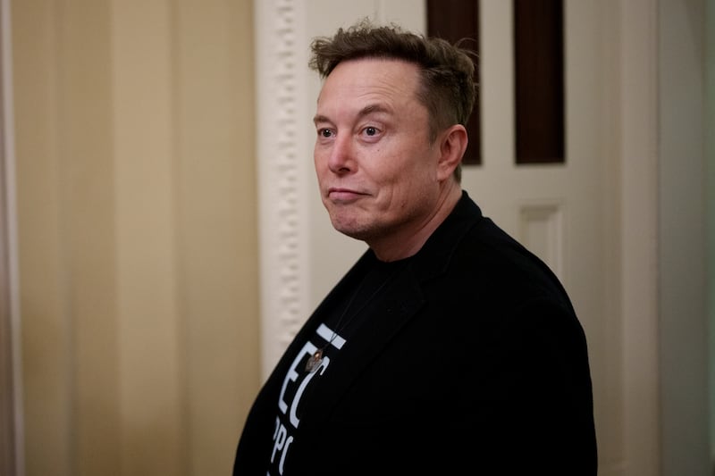 DOGE head Elon Musk.