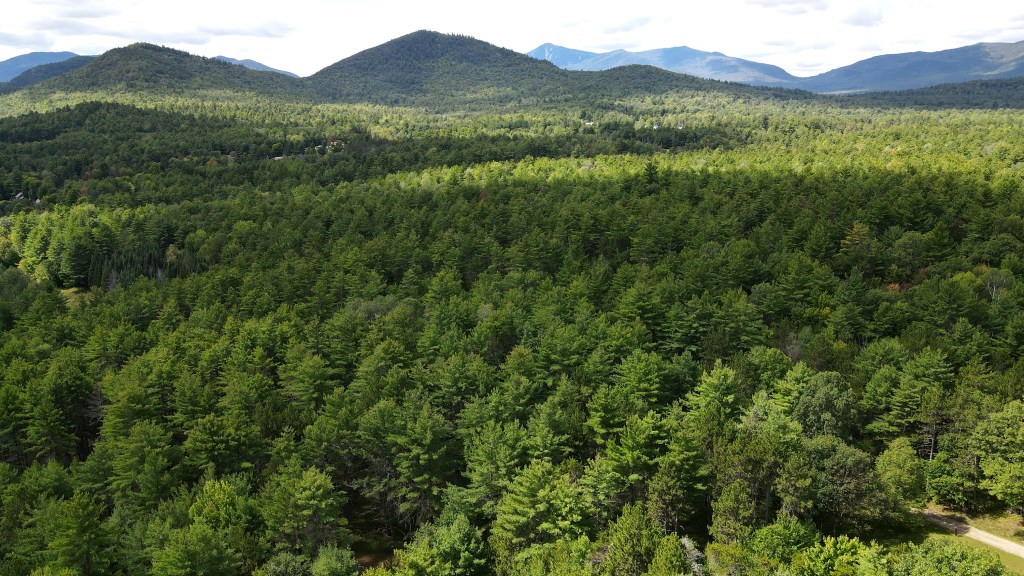 The hikers were lost near the Adirondacks' popular Cascade Mountain.