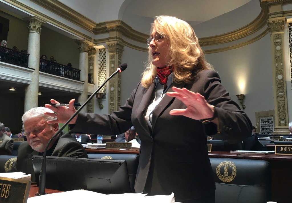 Democratic state Sen. Robin Webb speaking against a Republican tax proposal at a podium in Frankfort, Kentucky, on April 2, 2018