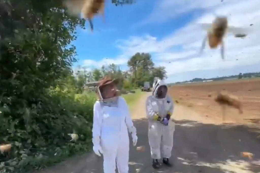 Over two dozen local beekeepers responded to the shocking situation.