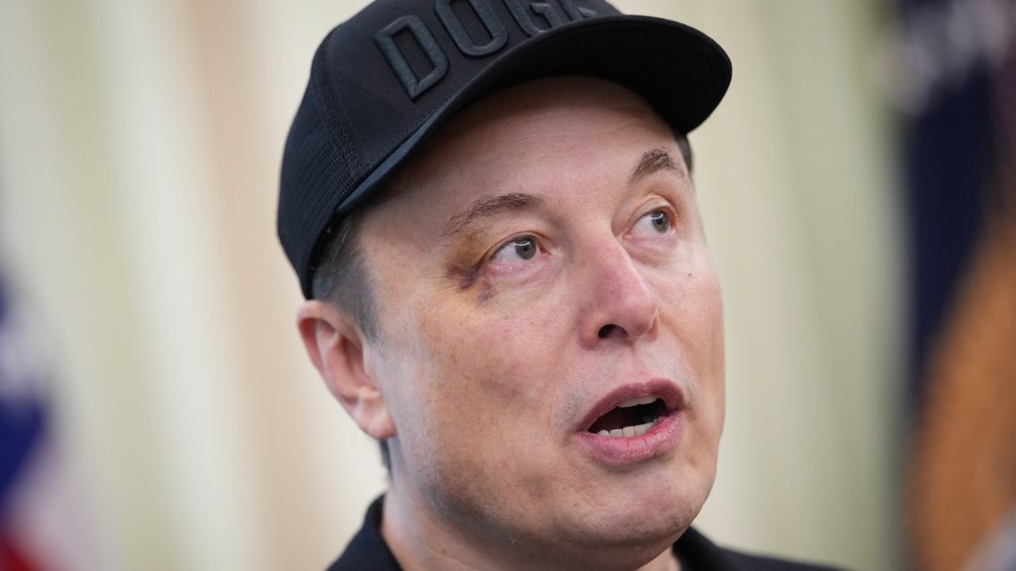 Trump Asked Musk if DOGE Was BS Then Called Him Half ‘Boy’