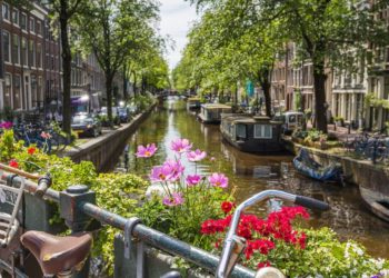 I’ve lived in the Netherlands for 10 years. Here are the 6 biggest mistakes I see tourists make.