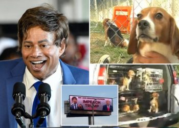 Dem congressman calling for Trump’s impeachment once accused of indescribable act involving 118 beagles in his pharmaceutical lab