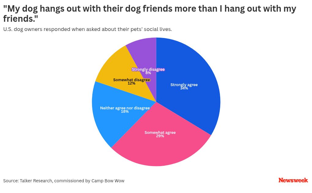 chart visualization