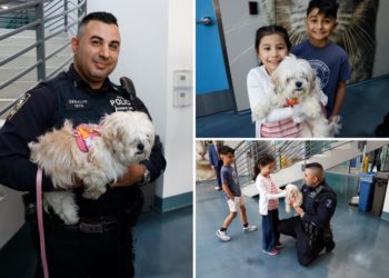 Dog rescued from East River finds forever home with cop who saved her
