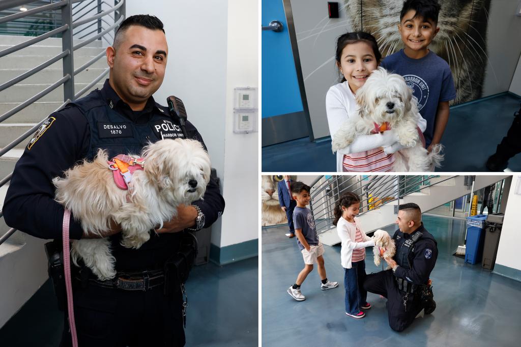 Dog rescued from East River finds forever home with cop who saved her