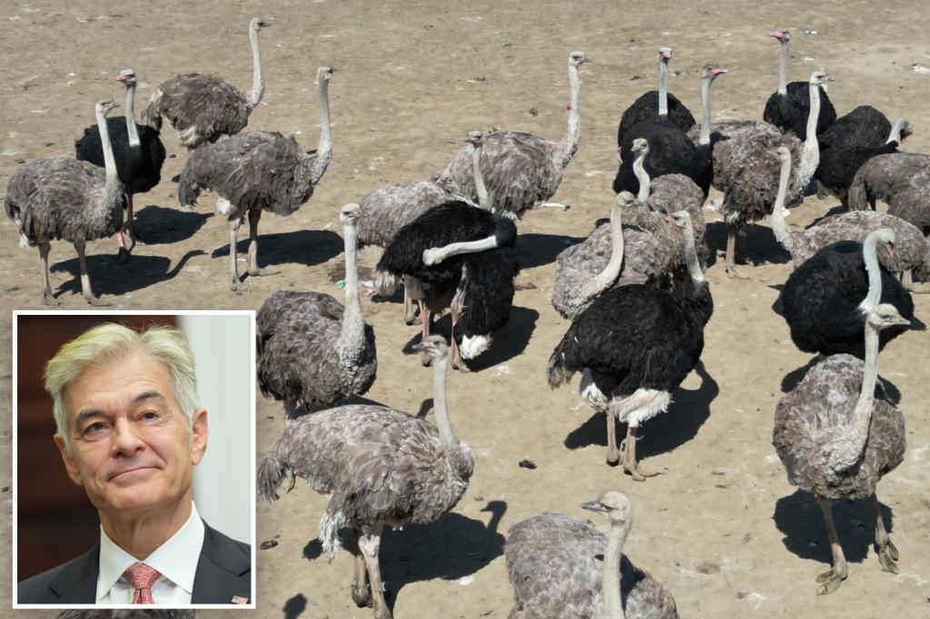 Dr. Oz offers to keep targeted Canadian ostriches at his Fla. ranch: ‘Have to get them out’
