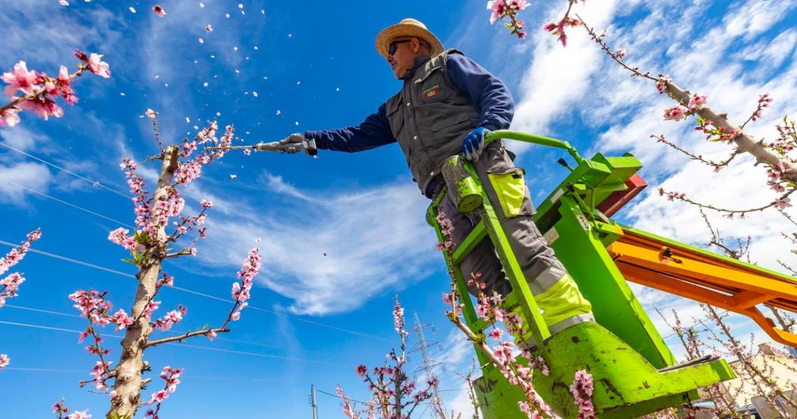 EU farm plan earmarks more cash for disaster relief even as it loosens green rules