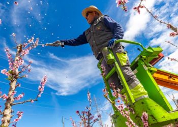 EU farm plan earmarks more cash for disaster relief even as it loosens green rules