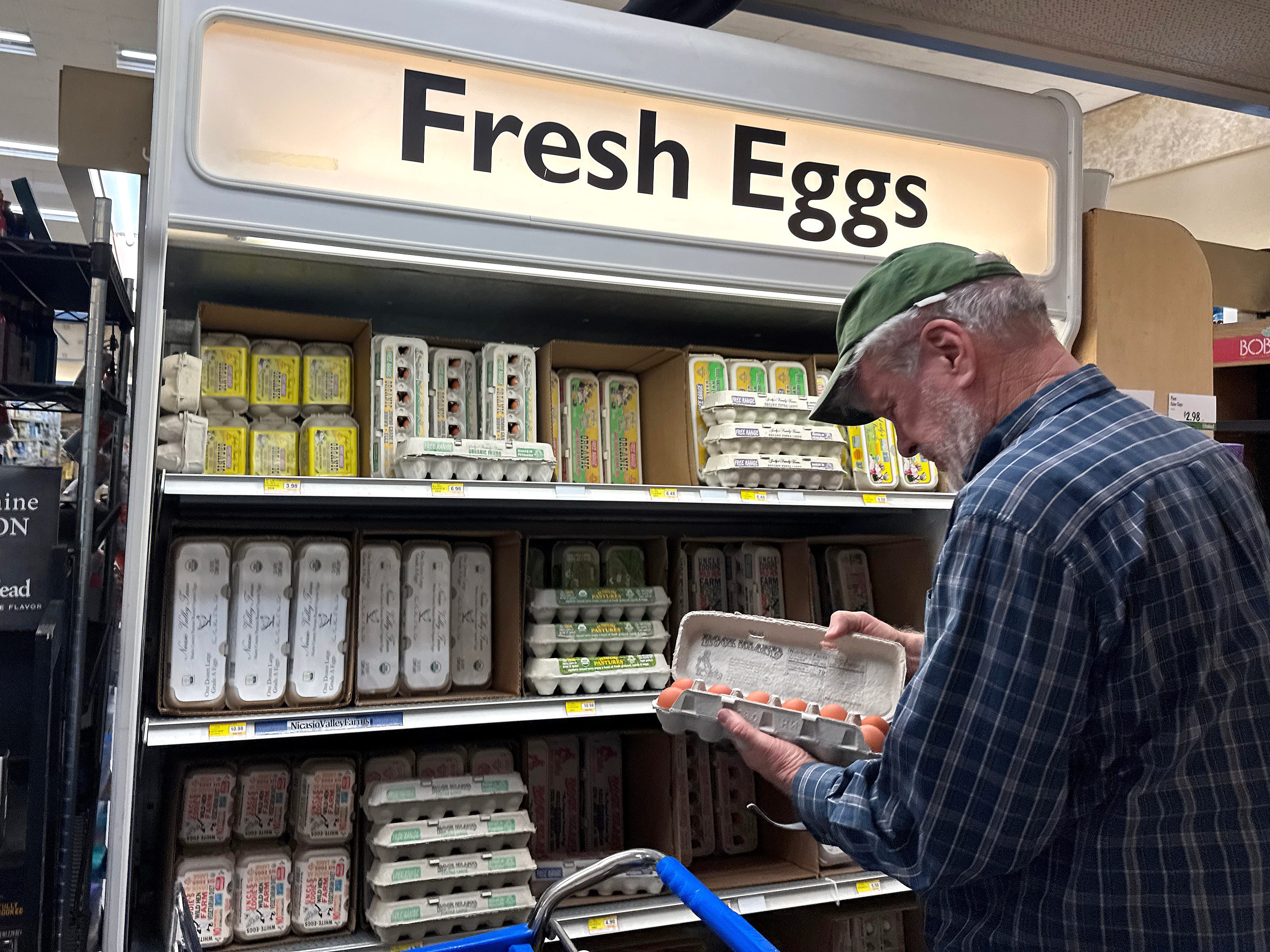 A person looking at eggs in a store