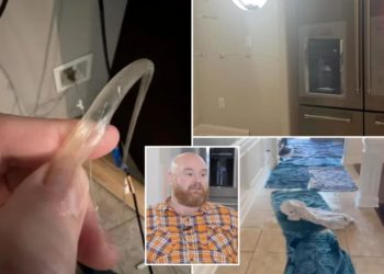 Florida family claims $700K in home damages over Costco-installed fridge — even had to relocate: report