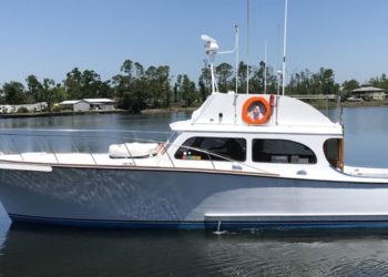 Florida man who shot and poisoned dolphins sentenced to 1 month